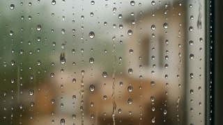 Rain on Window